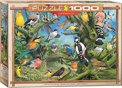 EuroGraphics Garden Birds by Joahn Francis 1000-Piece Puzzle