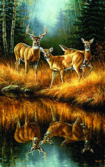 Whitetail Reflections 550 pc Jigsaw Puzzle