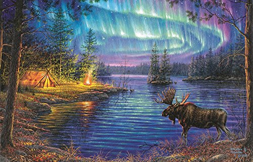 Northern Night 1000 pc Jigsaw Puzzle by SunsOut