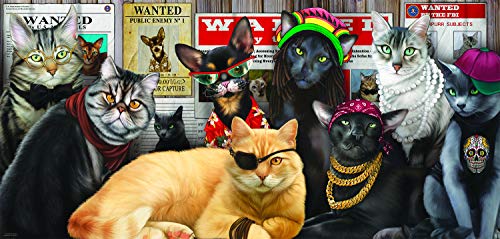 Cat Lineup 1000 pc Jigsaw Puzzle