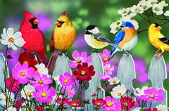 Songbirds 30 Piece Jigsaw Puzzle by SunsOut