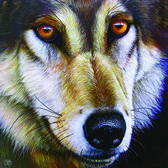 Wolf Face 1000 pc Jigsaw Puzzle